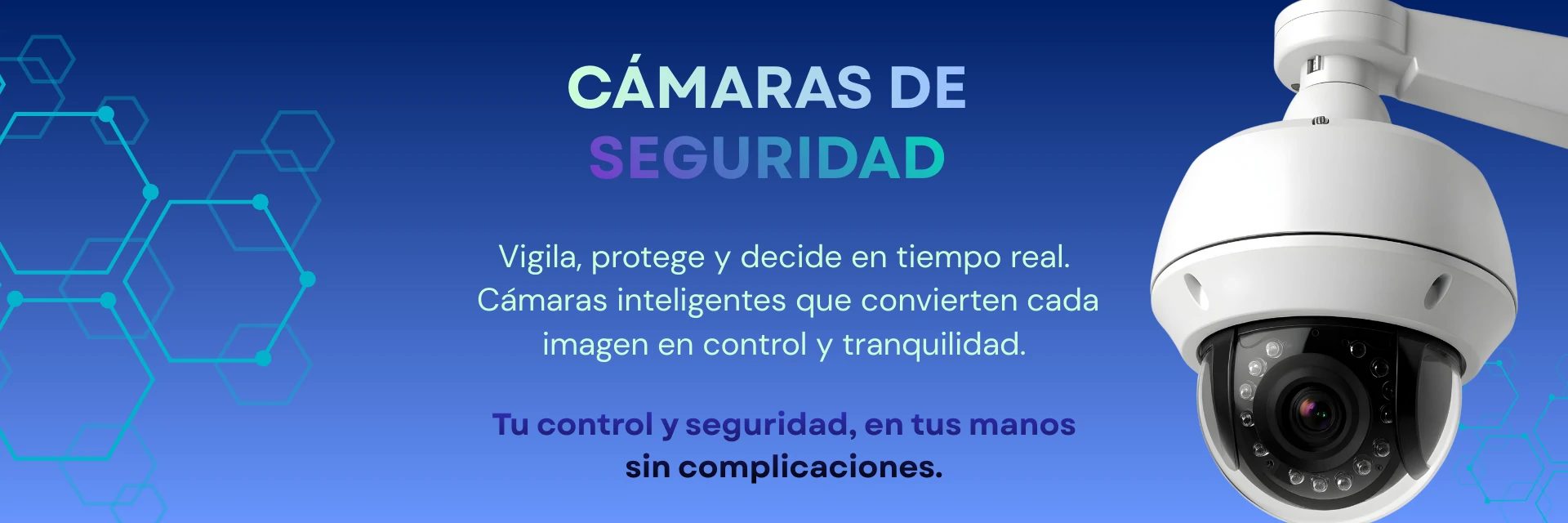 Seguridad Tecnológica